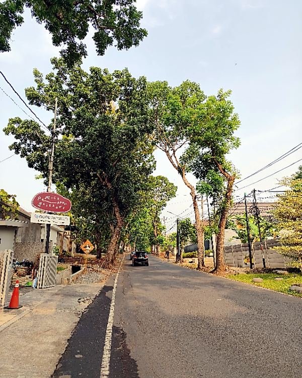 Papan penunjuk di jalan masuk